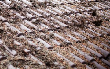 Linton roof cleaning companies