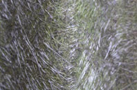 Linton fibreglass roof work